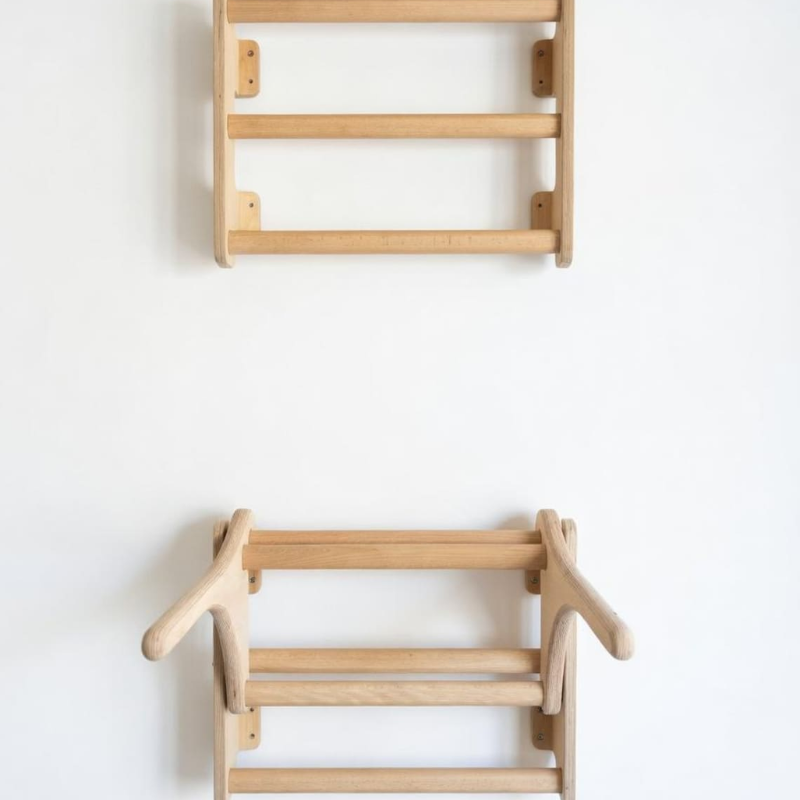 Deezy Store Wall-Mounted Dip & Pull-Up Station.